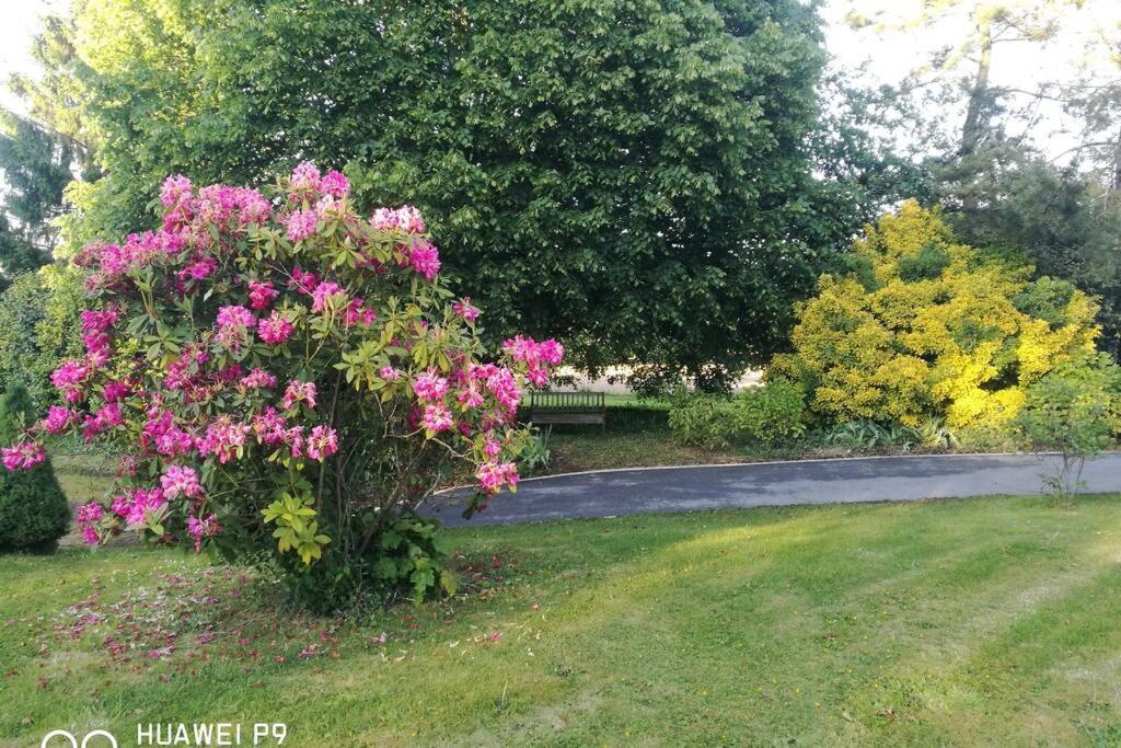 Gite De Pennenez Plomodiern ภายนอก รูปภาพ